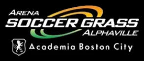 Arena Soccer Grass